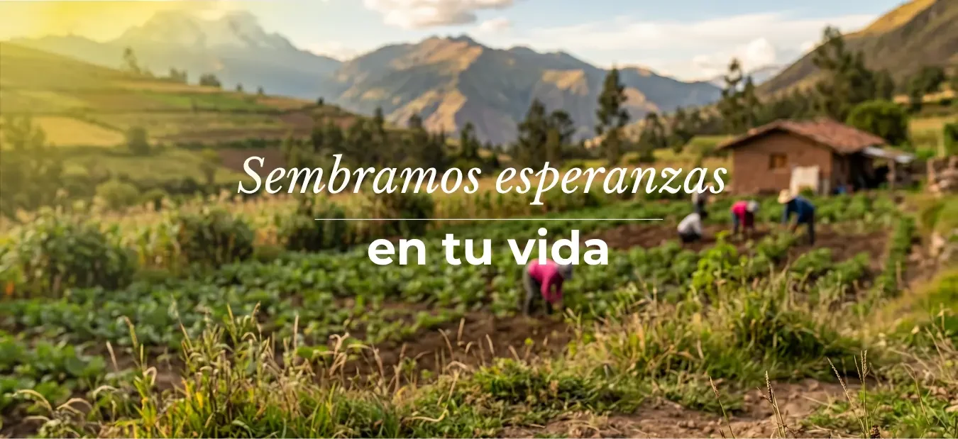 Sembranza - Árbol Vitae