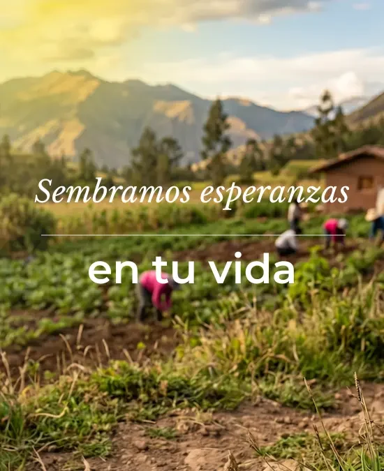 Sembramos esperanzas